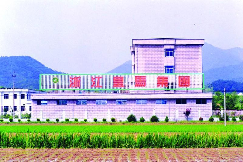 1995年